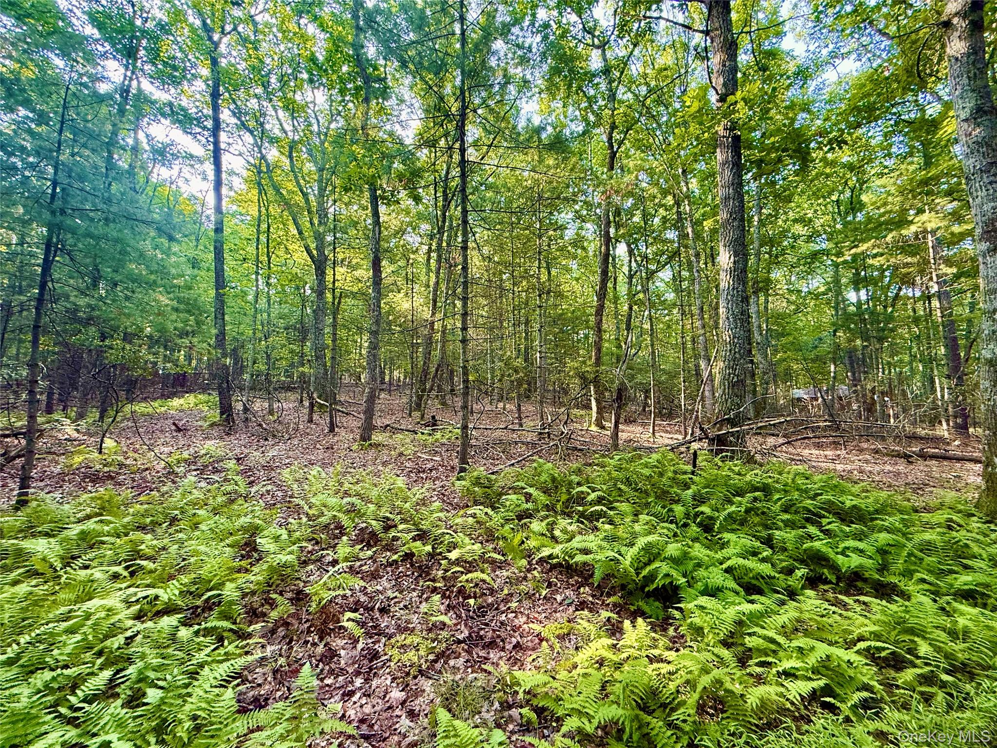 1st image of Marko Dr, Highland, NY 12528 | MLS# 978761