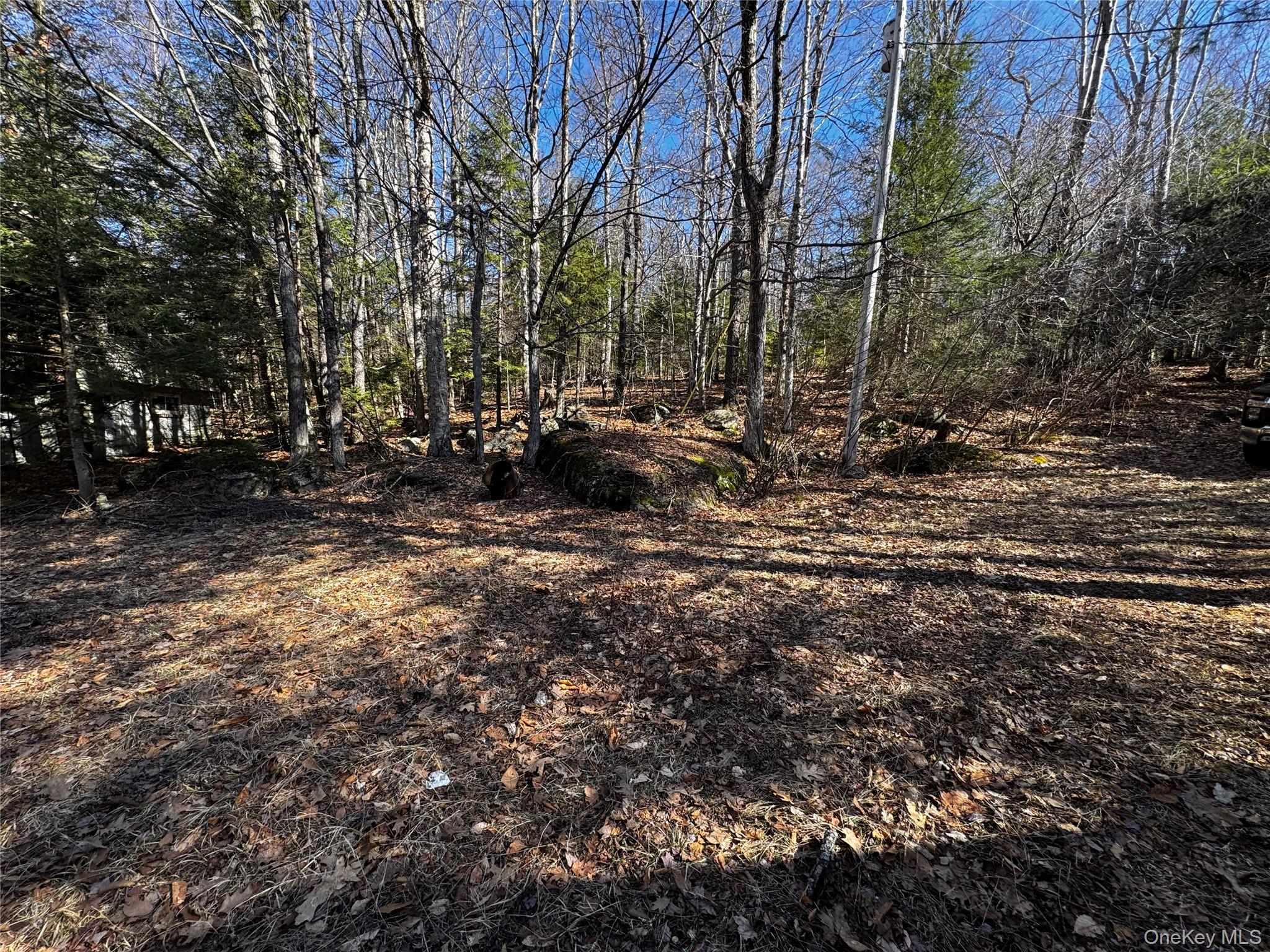 Homes for sale in Hunter, NY | 319 N Lake Rd, Hunter, NY 12442 | MLS# 982973