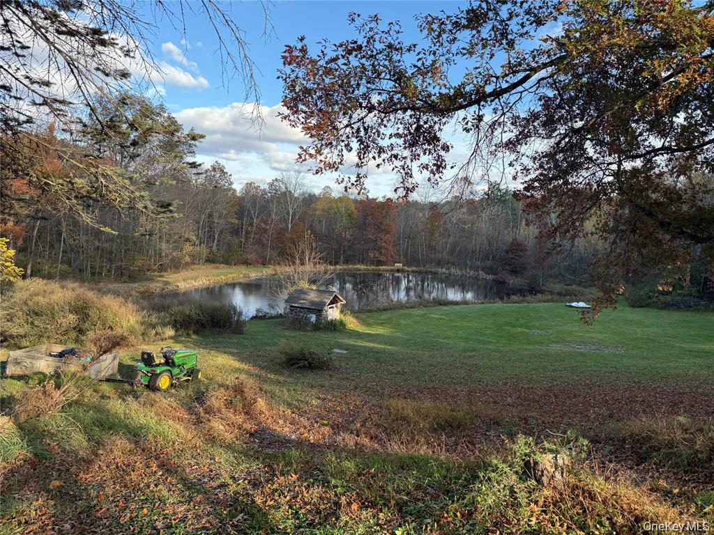 20th image of 118 Old Roosa Gap Rd, Bloomingburg, NY 12721 | MLS# 983246