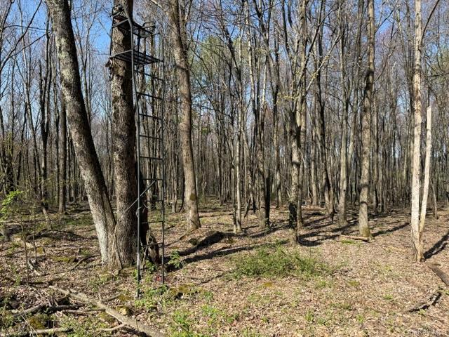 Homes for sale in Liberty, NY | Chaffee Rd, Liberty, NY 12754 | MLS# 984519