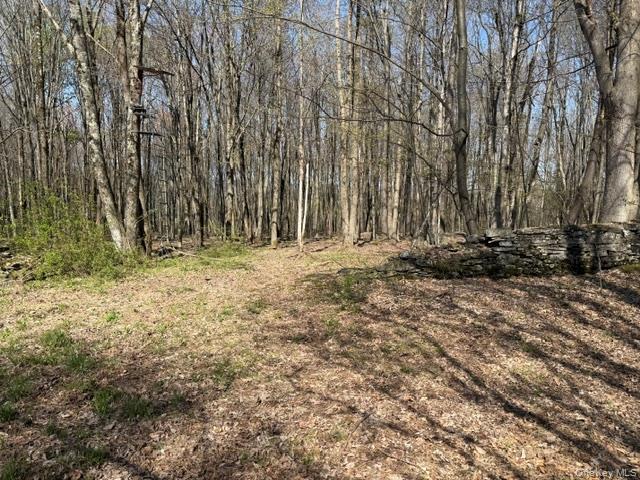 Homes for sale in Liberty, NY | Chaffee Rd, Liberty, NY 12754 | MLS# 984519