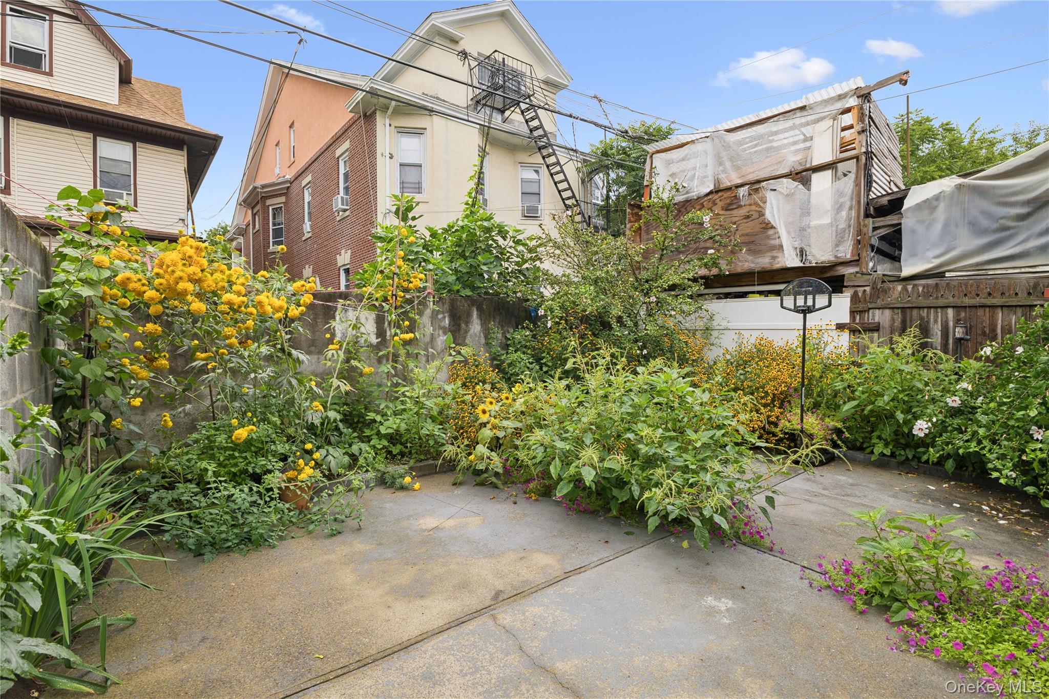 35th image of 60 Ashford St, New York, NY 11207 | MLS# 995236