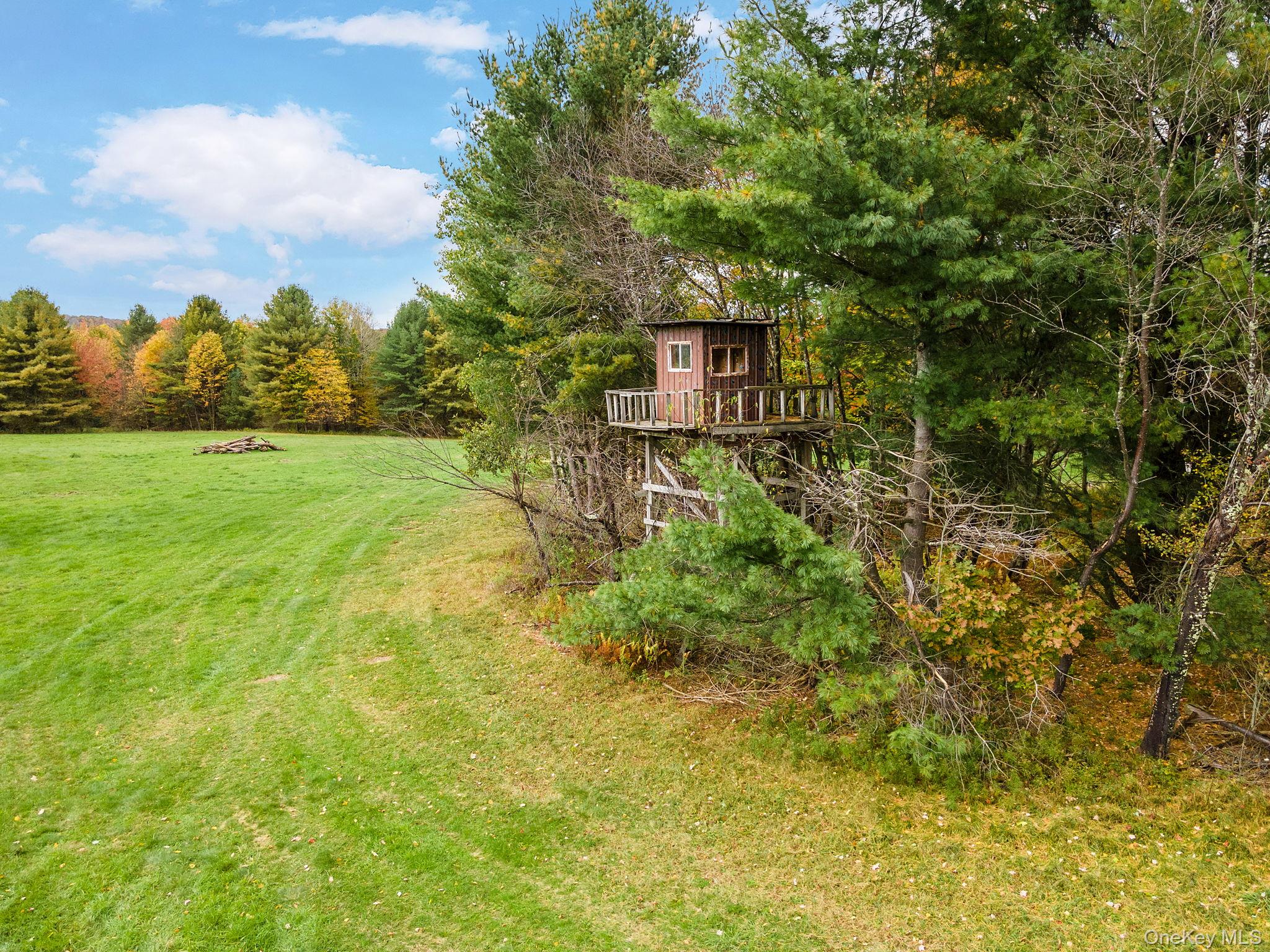 Homes for sale in Franklin, NY | 734 Post Rd, Franklin, NY 13775 | MLS# 1001269