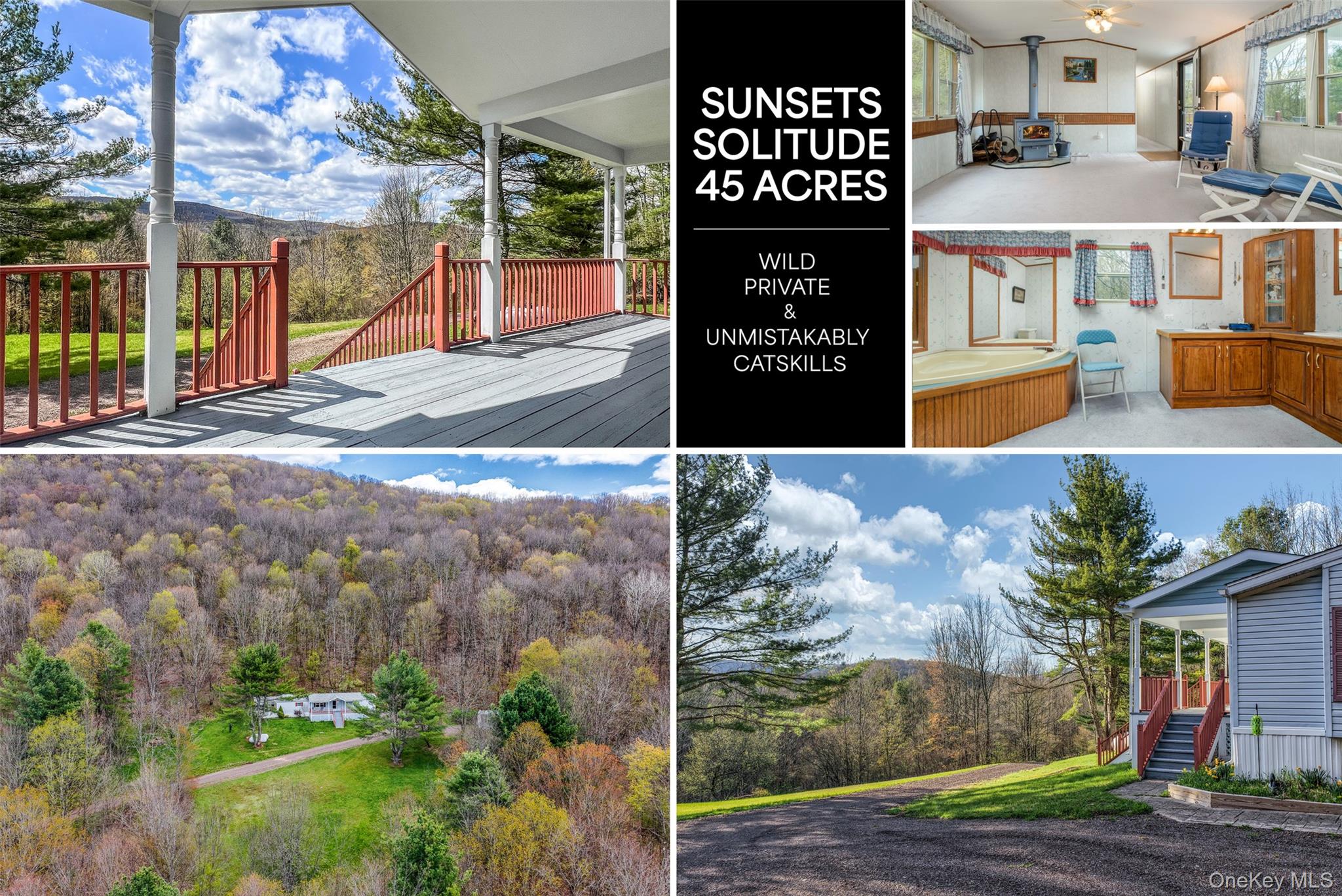 Homes for sale in Kortright, NY | 1264 Betty Brook Rd, Kortright, NY 13842 | MLS# 1001909