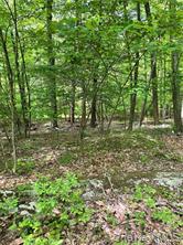 Homes for sale in Lloyd, NY | Tbd Hawleys Corners, Lloyd, NY 12528 | MLS# 1002658