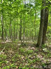 Homes for sale in Lloyd, NY | Tbd Hawleys Corners, Lloyd, NY 12528 | MLS# 1002658