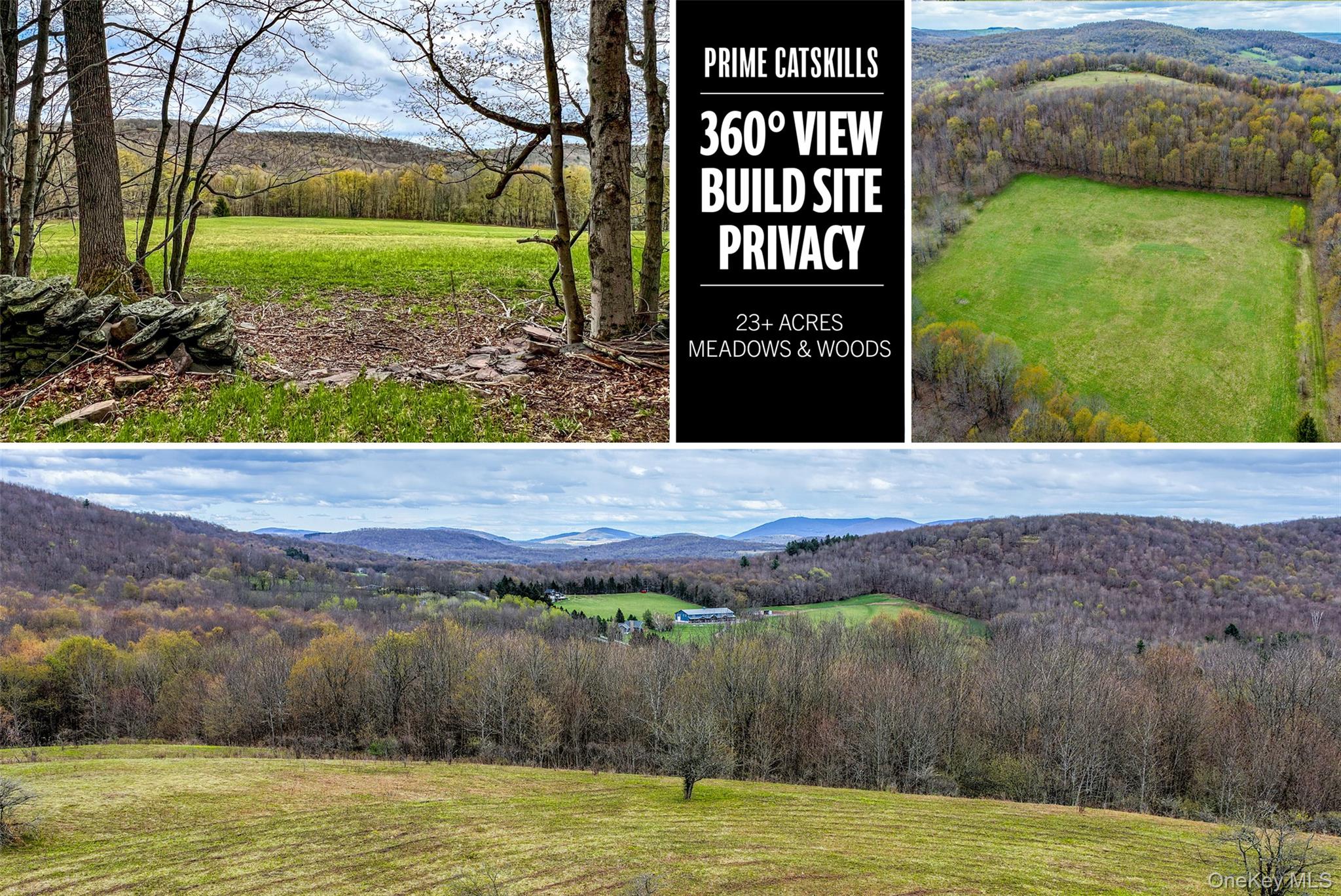 Homes for sale in Kortright, NY | 0 Brownell Rd, Kortright, NY 13739 | MLS# 1003122