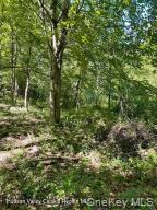 Homes for sale in Cairo, NY | L 33 Harring Rd, Cairo, NY 12413 | MLS# 1008211