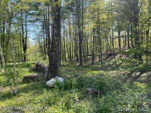 Homes for sale in Cairo, NY | L-33 Harring Rd, Cairo, NY 12413 | MLS# 1008211