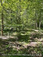 Homes for sale in Cairo, NY | L 33 Harring Rd, Cairo, NY 12413 | MLS# 1008211