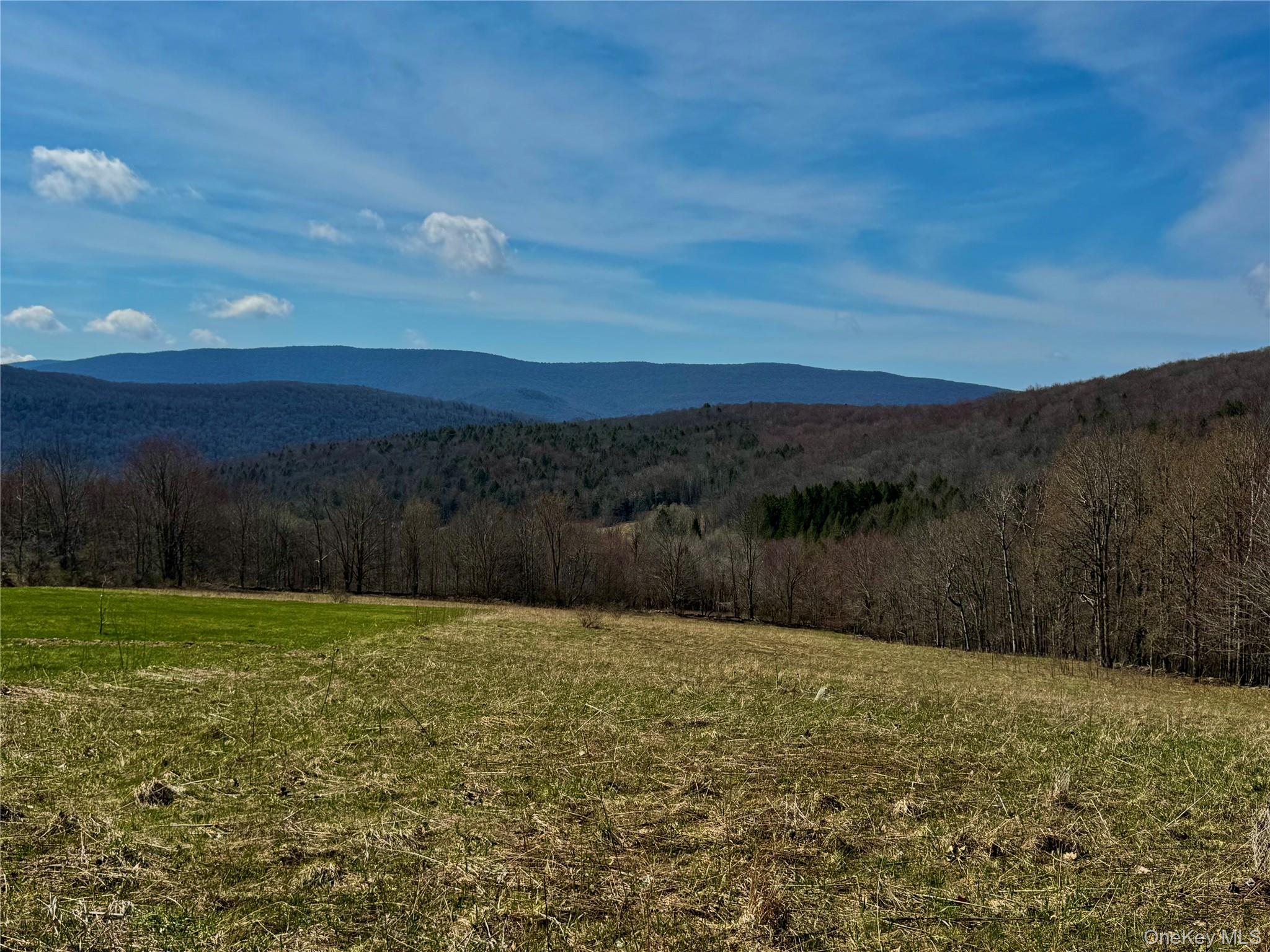 Homes for sale in Middletown, NY | Hogg Mountain, Middletown, NY 12430 | MLS# 1009128