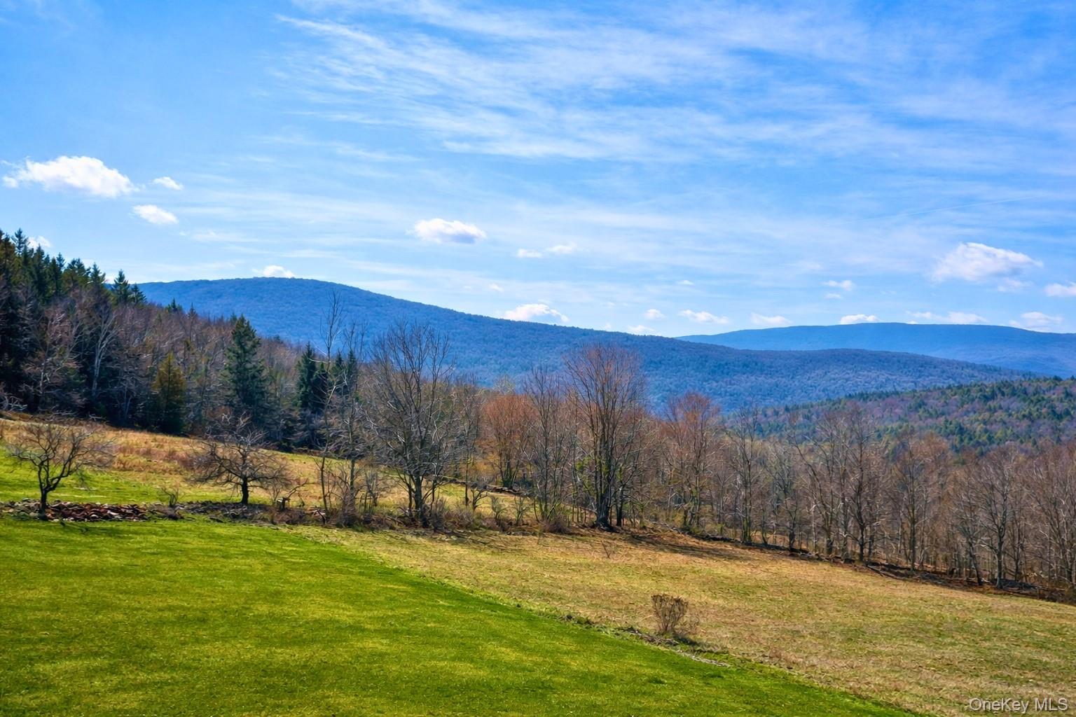 Homes for sale in Middletown, NY | Hogg Mountain, Middletown, NY 12430 | MLS# 1009128
