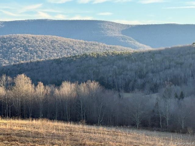 Homes for sale in Middletown, NY | Hogg Mountain, Middletown, NY 12430 | MLS# 1009128