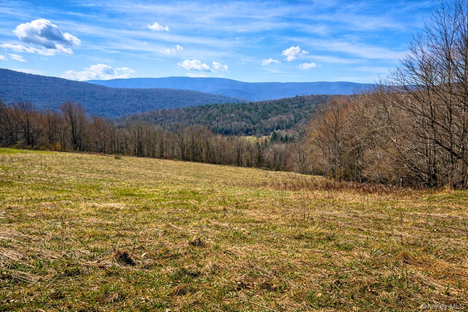 Homes for sale in Middletown, NY | Hogg Mountain, Middletown, NY 12430 | MLS# 1009128