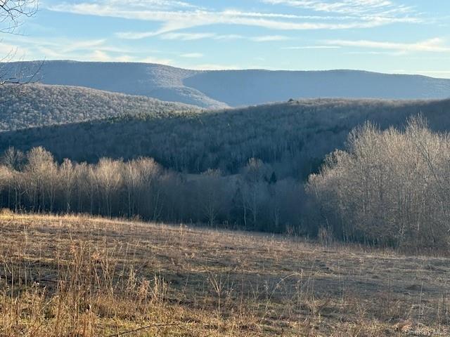 Homes for sale in Middletown, NY | Hogg Mountain, Middletown, NY 12430 | MLS# 1009128