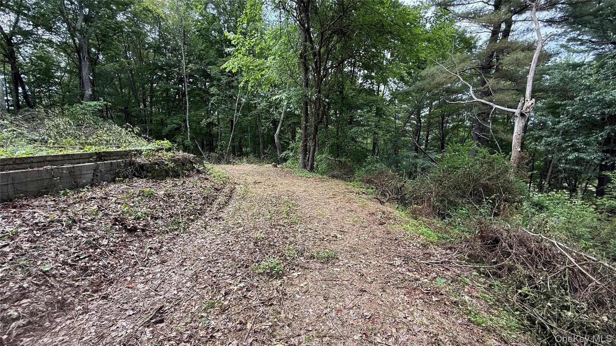 4th image of 66 Ryan Rd, Pine Plains, NY 12567 | MLS# 1010757