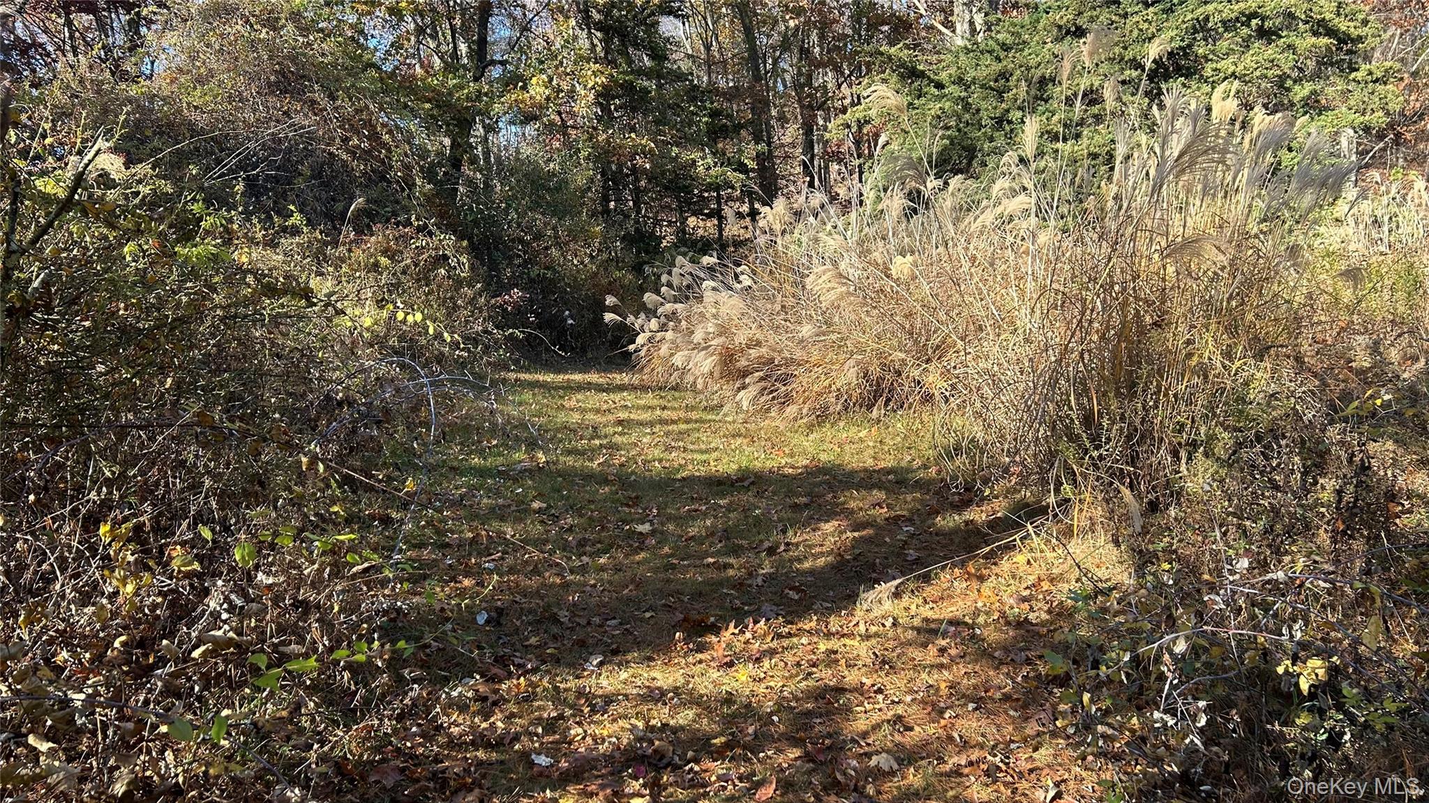 2nd image of 66 Ryan Rd, Pine Plains, NY 12567 | MLS# 1010757