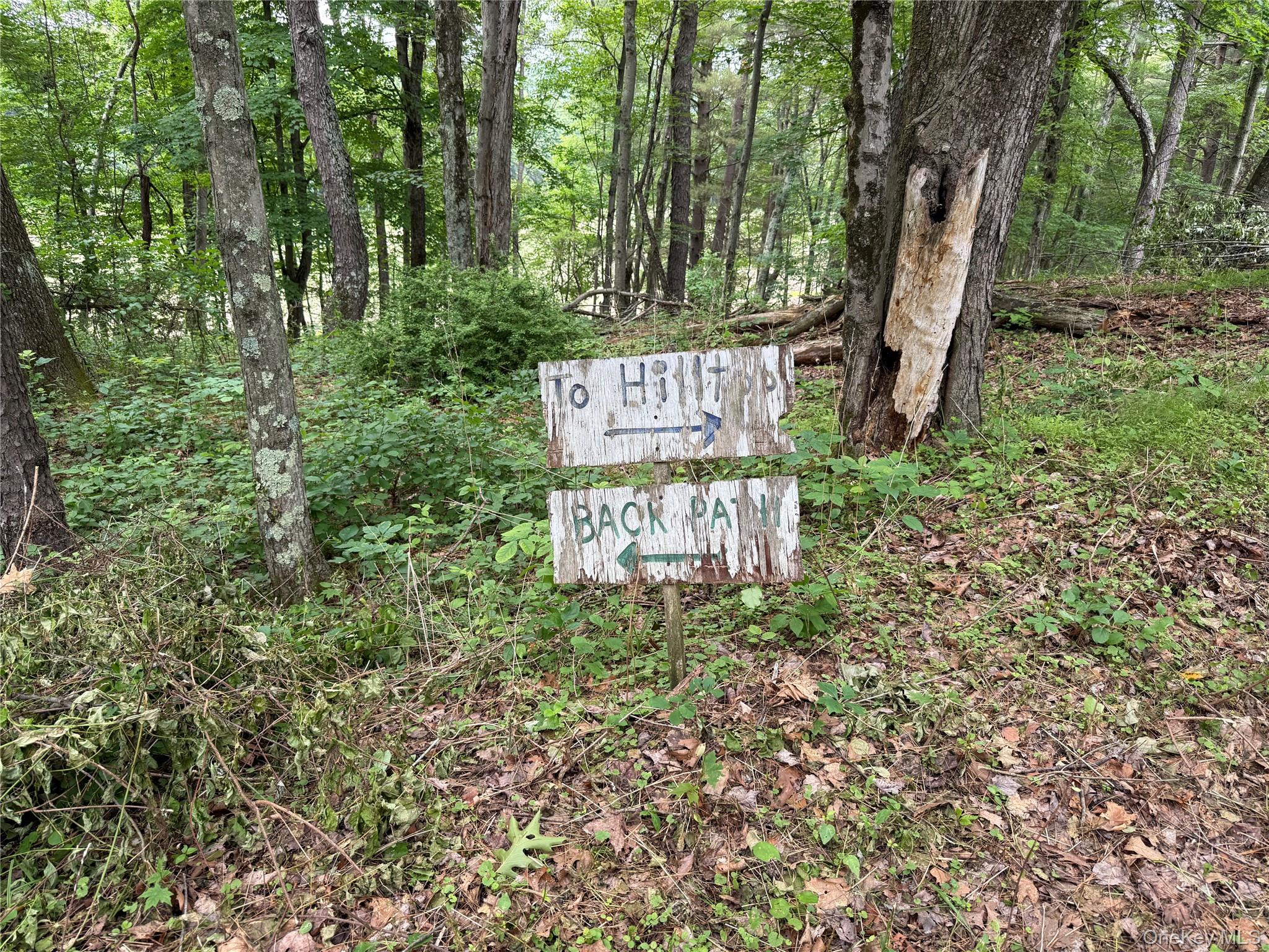 5th image of 66 Ryan Rd, Pine Plains, NY 12567 | MLS# 1010757