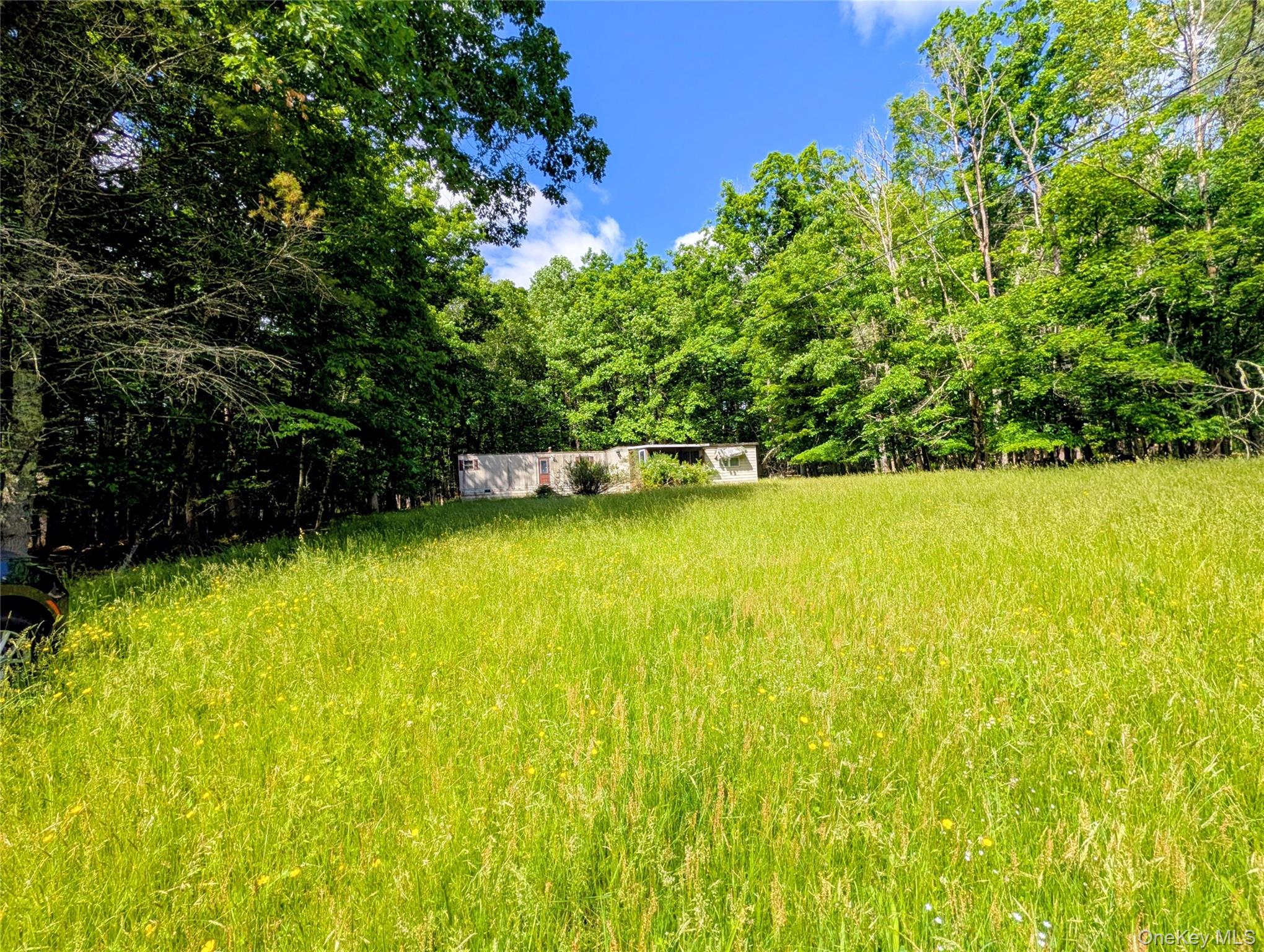 Homes for sale in Tusten, NY | 0 State Route 97, Tusten, NY 12764 | MLS# 1010764