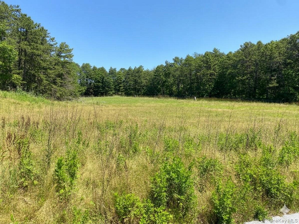 2nd image of 23 Sophia Ct, Westhampton, NY 11977 | MLS# 1013340