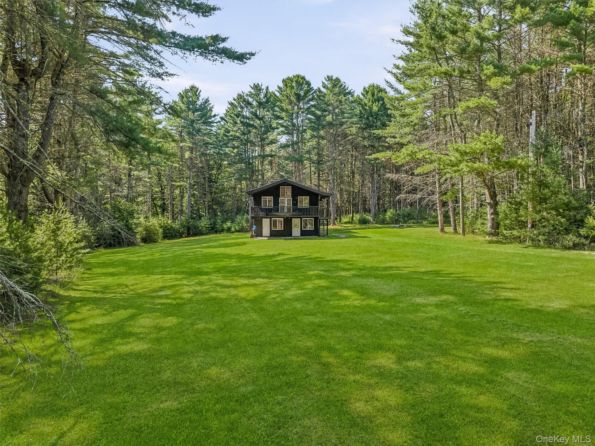 Homes for sale in Tusten, NY | 165 Dexheimer Rd, Tusten, NY 12764 | MLS# 1014466
