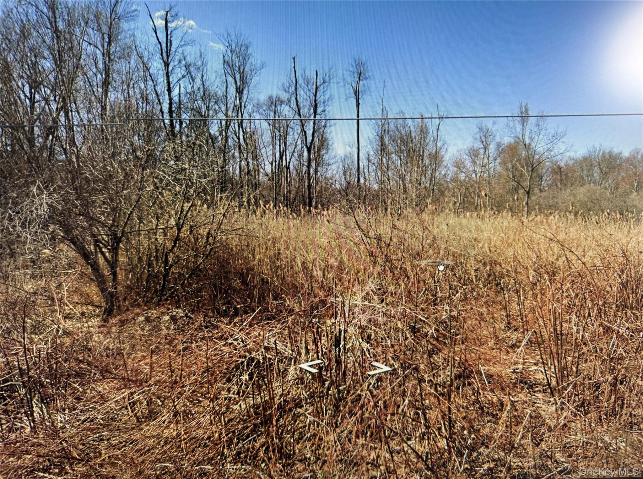 1st image of Clove Rd, Blooming Grove, NY 10914 | MLS# 1018362