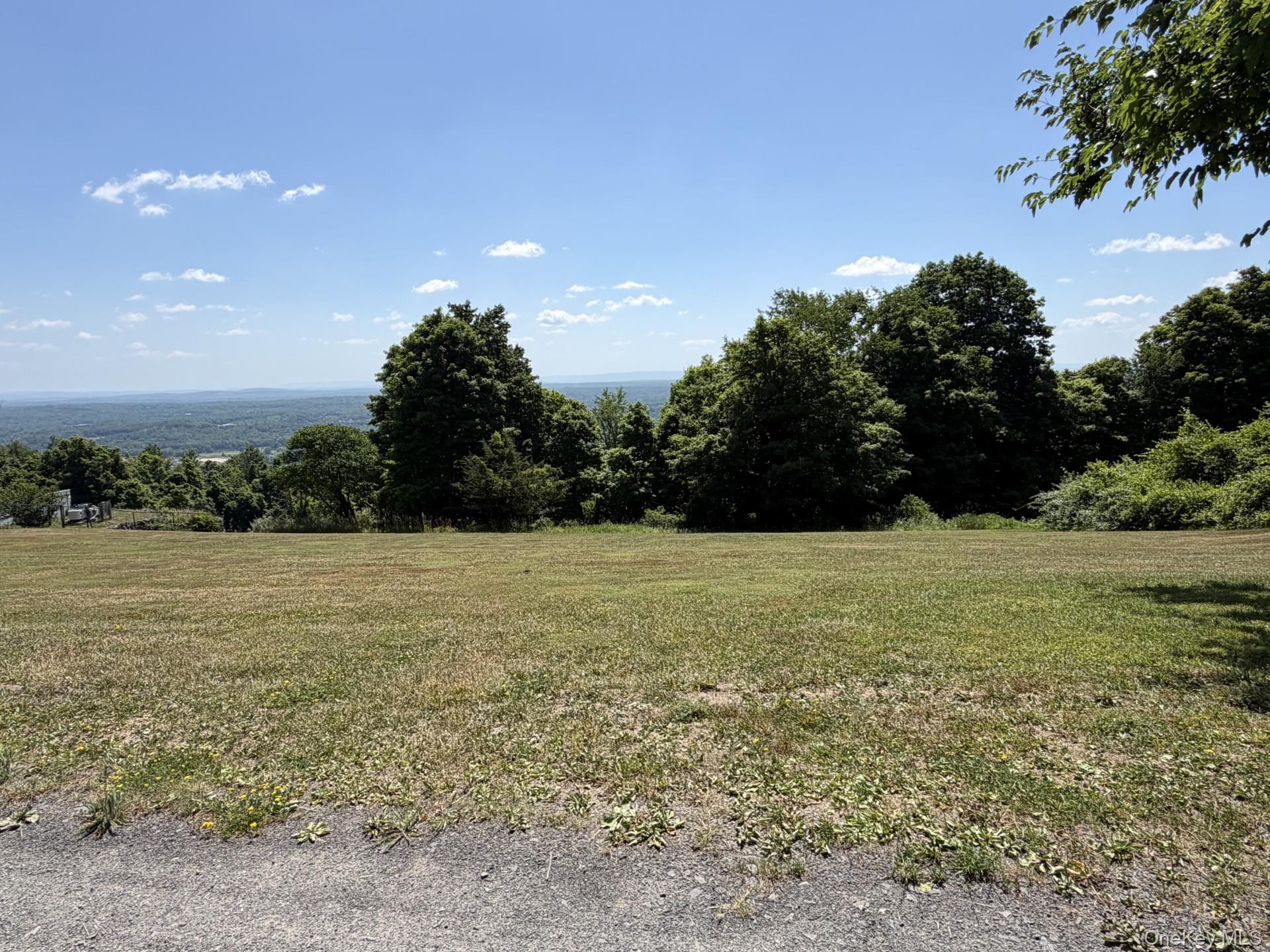 Homes for sale in Mamakating, NY | Eagles Nest Rd, Mamakating, NY 12721 | MLS# 1020872
