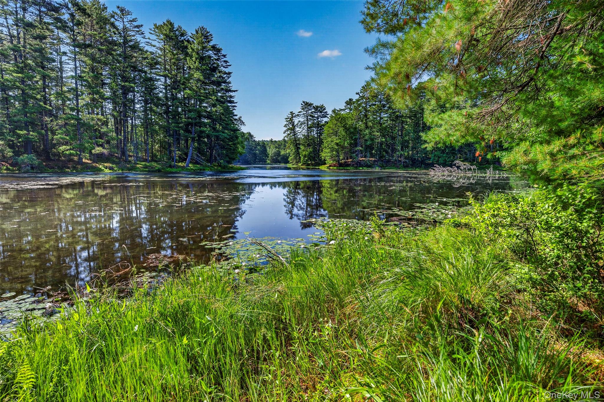 Photo 3 of Single family home for sale at 80 Beaver Brk Rd, Narrowsburg, NY 12764 | MLS# 1021713 | Listing updated on 2026-09-04