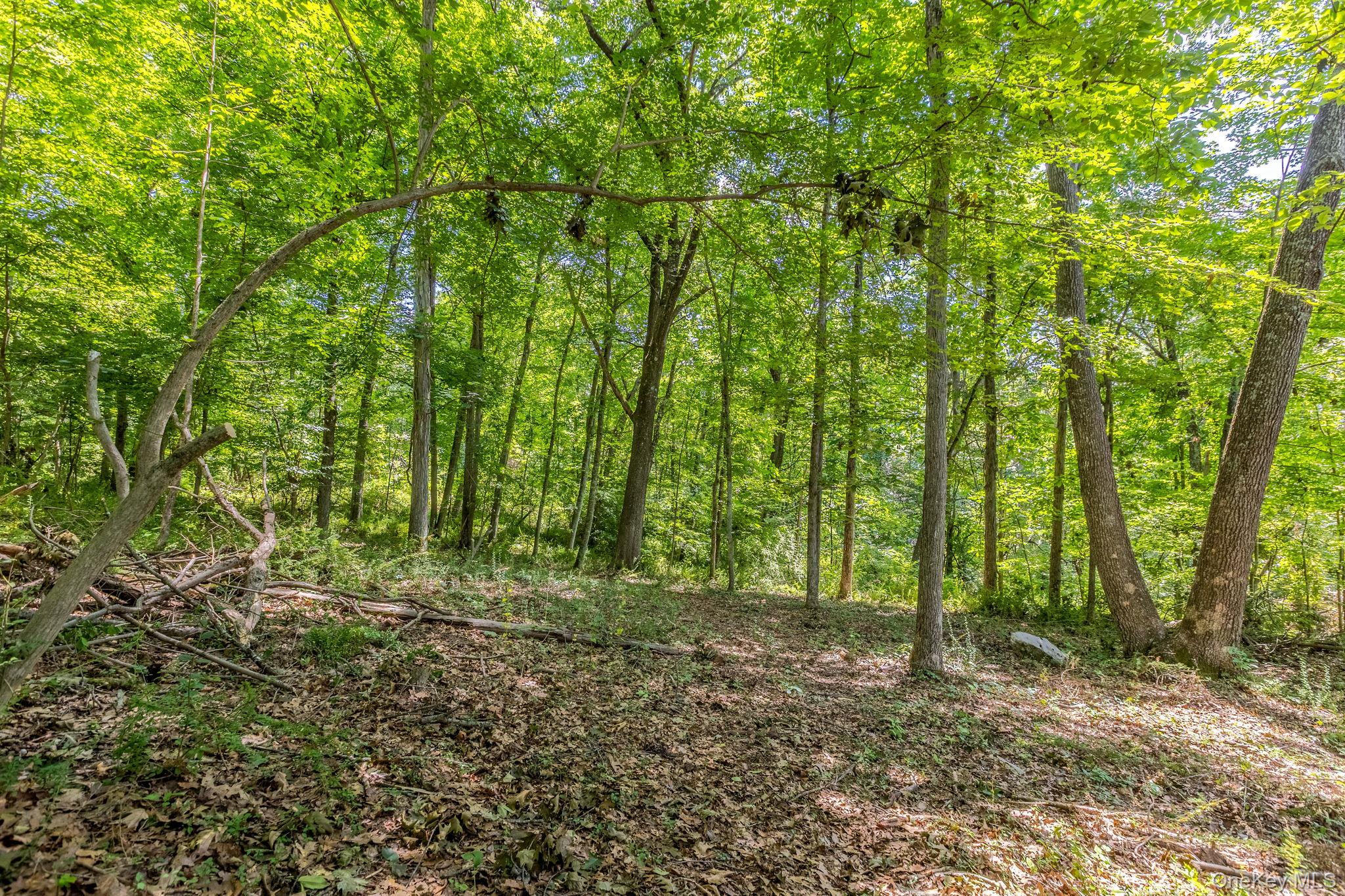 4th image of Woodin Ln, Pawling, NY 12564 | MLS# 1022374