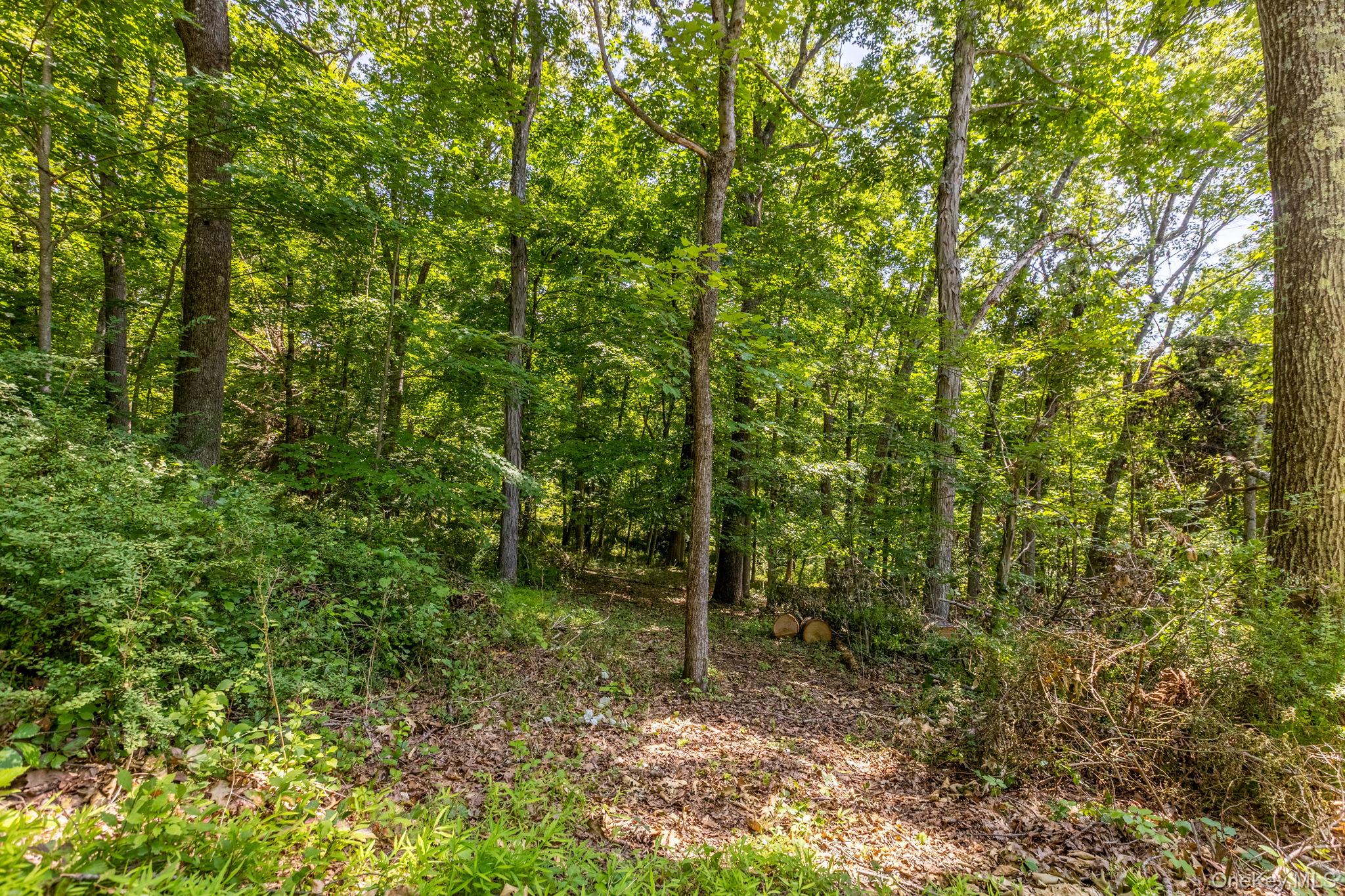 1st image of Woodin Ln, Pawling, NY 12564 | MLS# 1022374