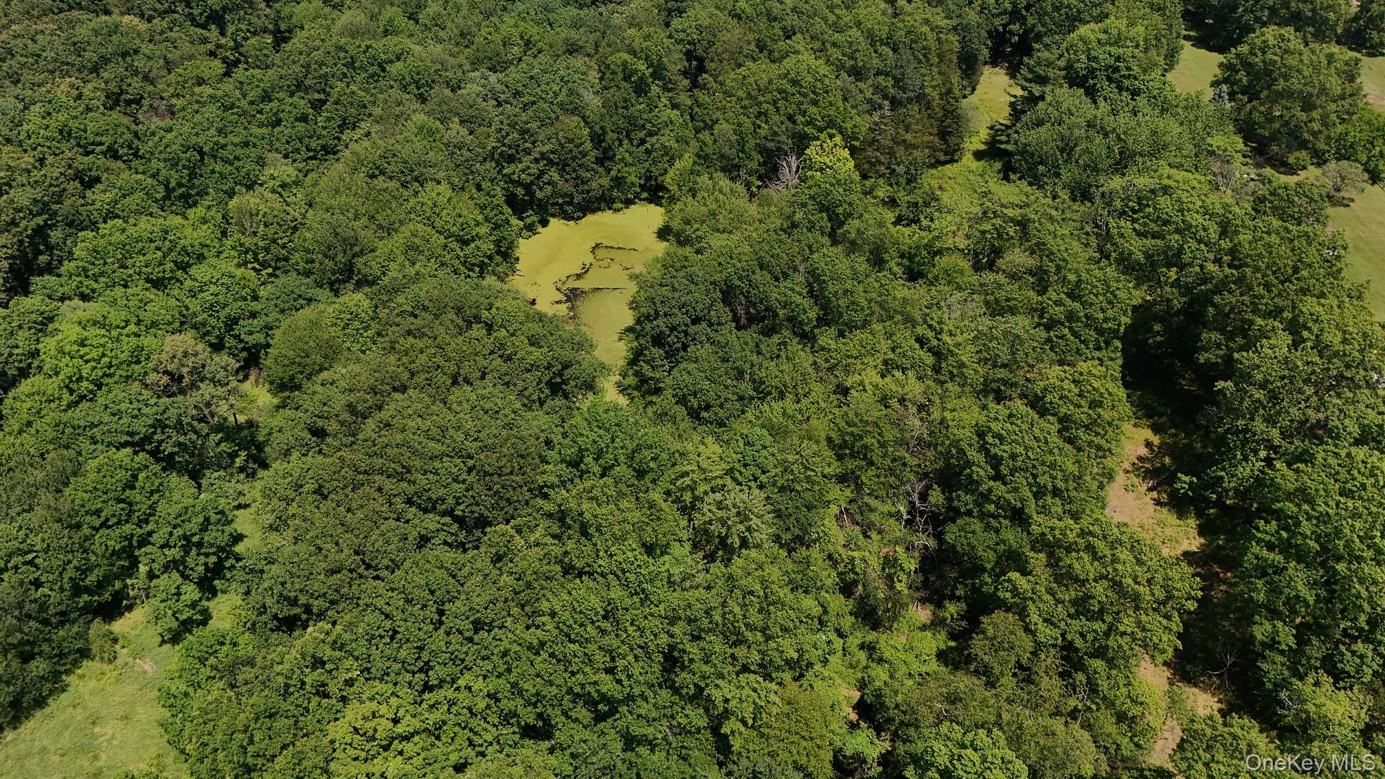 2nd image of 110 Purgatory Rd, Hamptonburgh, NY 10916 | MLS# 1023203