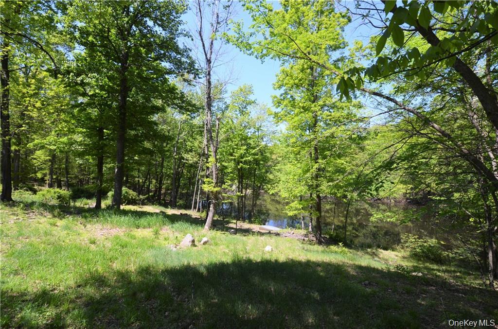 8th image of 110 Purgatory Rd, Hamptonburgh, NY 10916 | MLS# 1023203