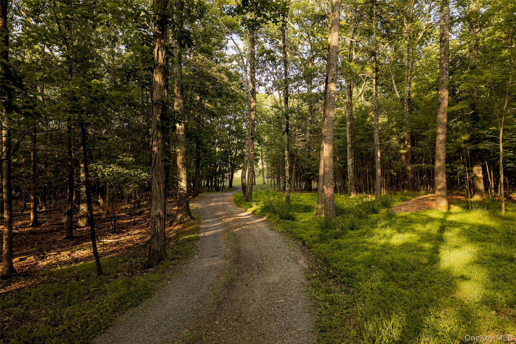 3rd image of 475 Ohayo Mountain Rd, Woodstock, NY 12498 | MLS# 1024171