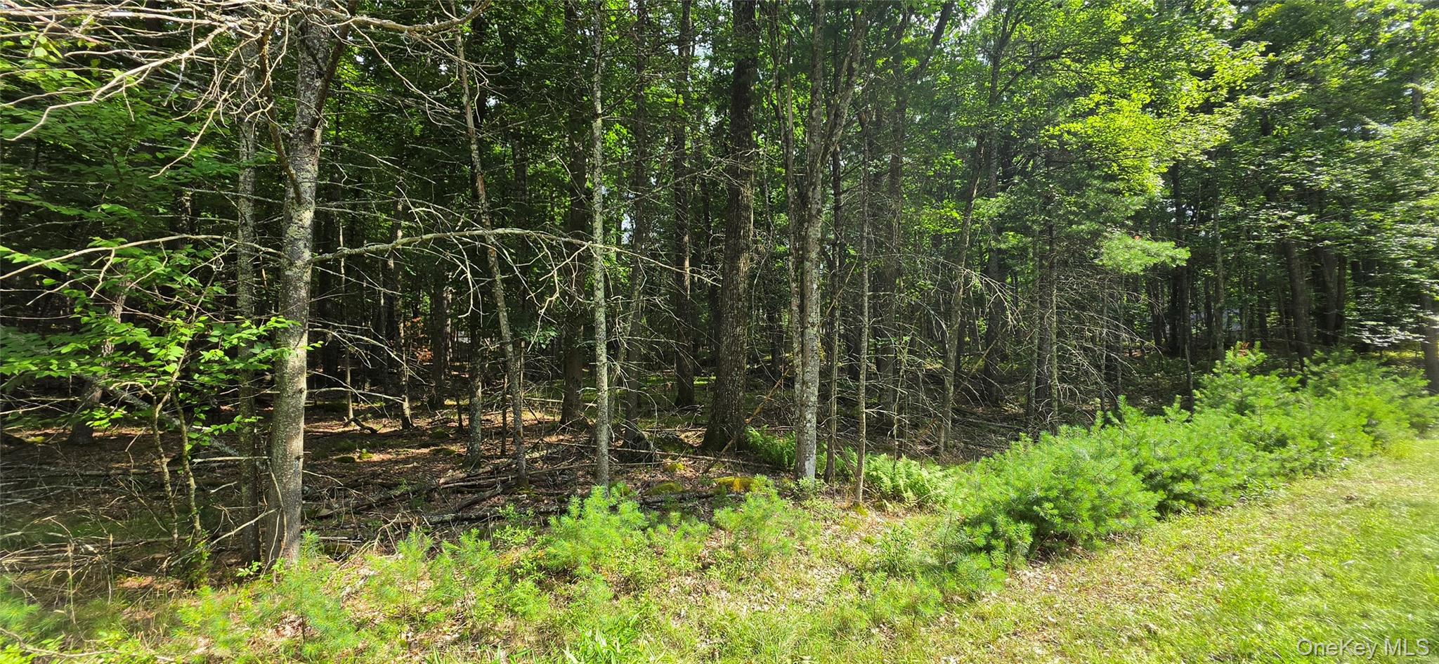 Homes for sale in Highland, NY | Lot 3425 Lakeview Dr Rd, Highland, NY 12743 | MLS# 1024572