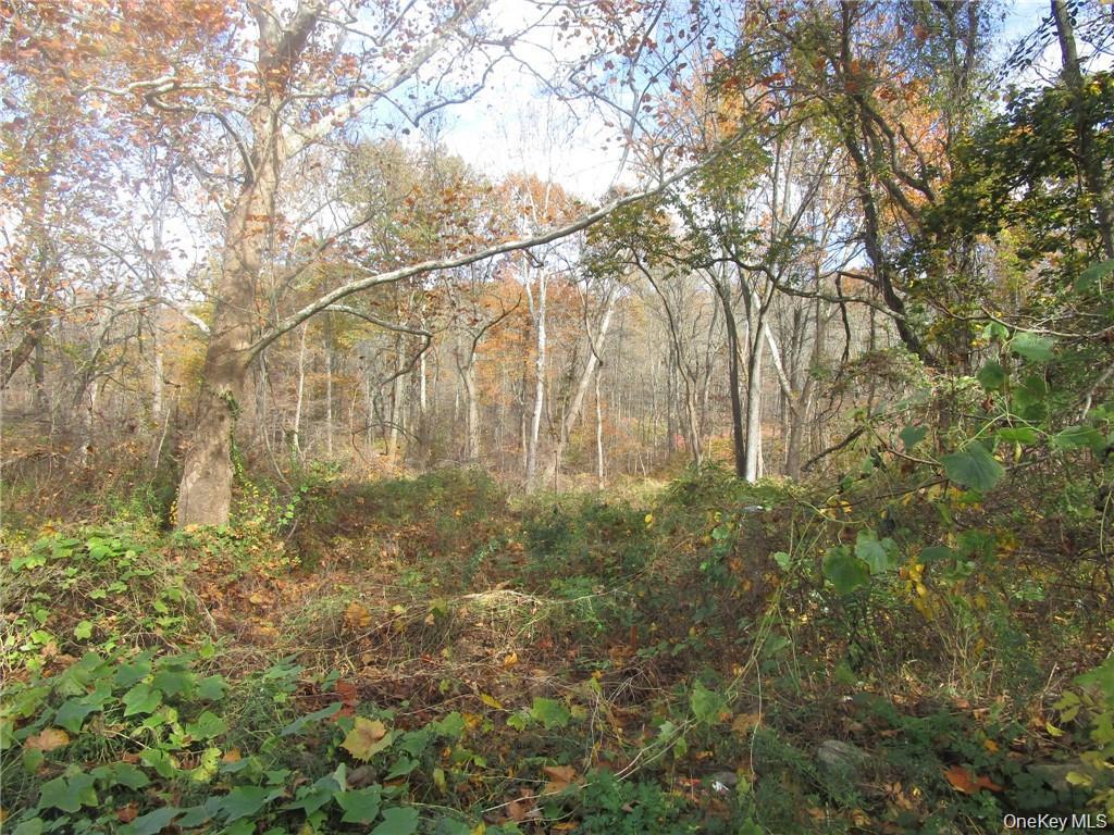 Homes for sale in Yorktown, NY | 3766 Foothill, Yorktown, NY 10547 | MLS# 1024727