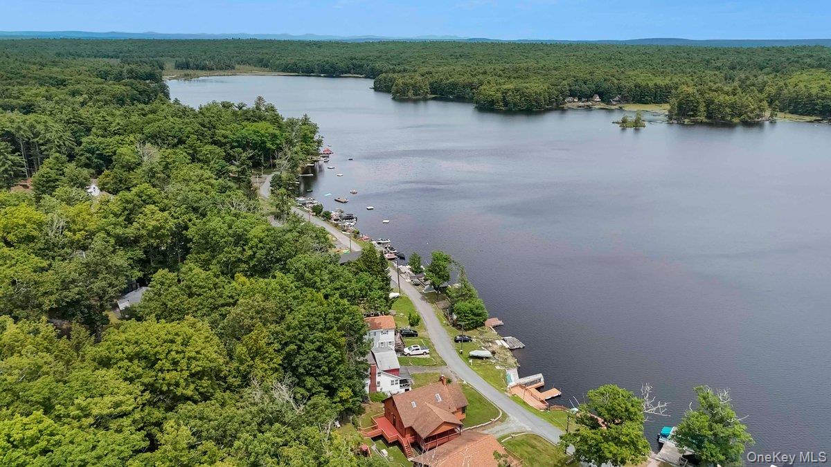 Homes for sale in Lumberland, NY | 111 Mohican Trl, Lumberland, NY 12737 | MLS# 1024987