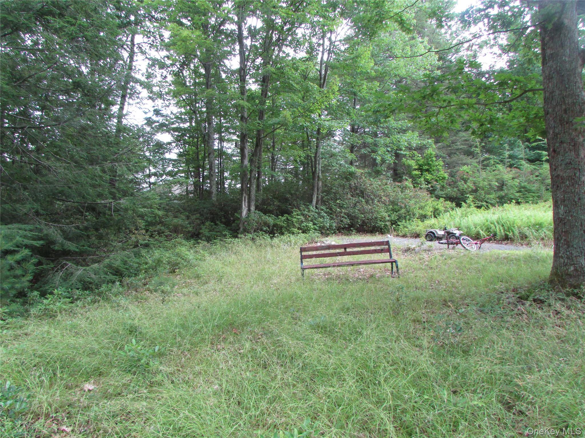 Homes for sale in Fallsburg, NY | Fox Hill Road Tr 55, Fallsburg, NY 12733 | MLS# 1025073