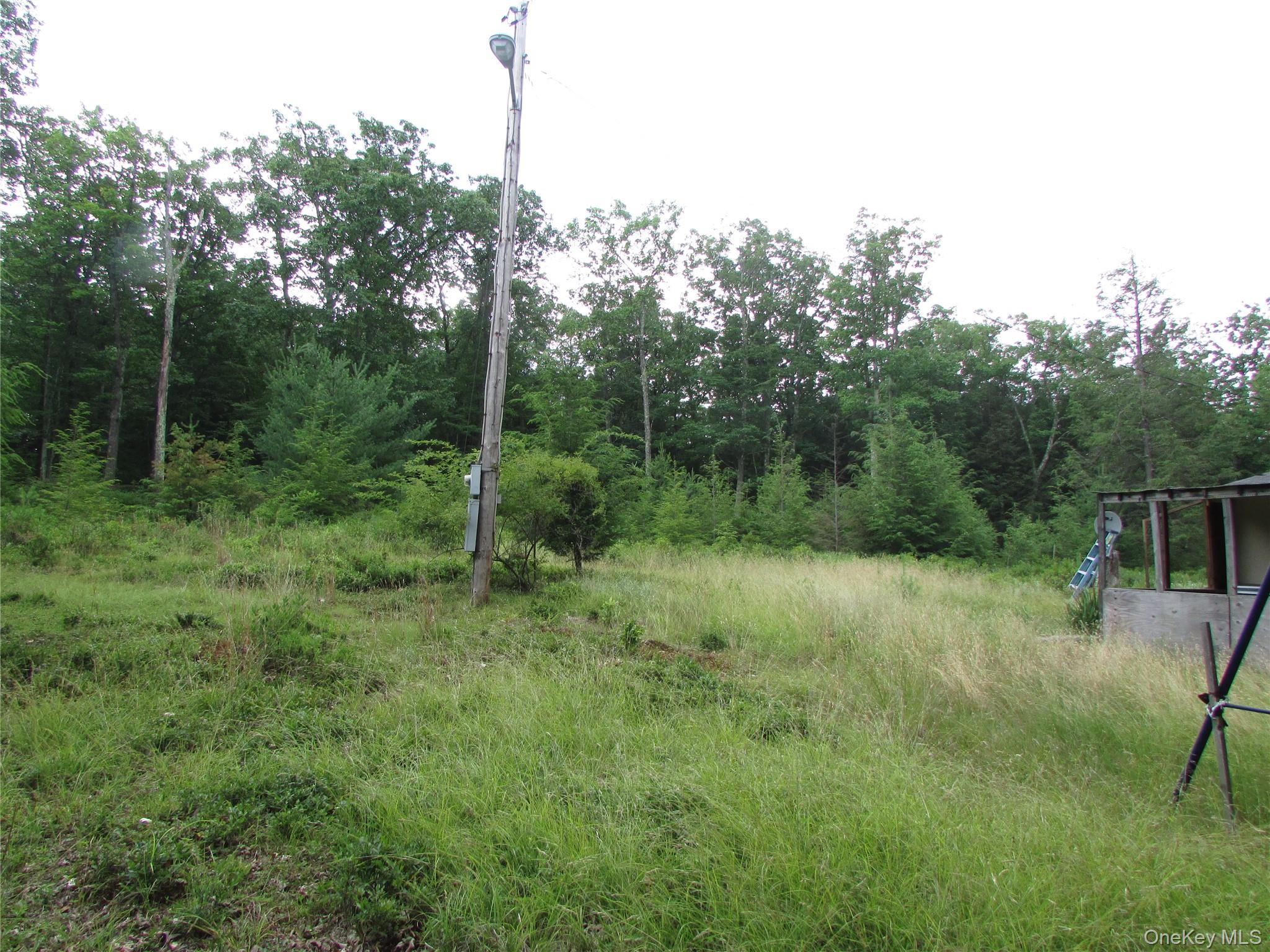 Homes for sale in Fallsburg, NY | Fox Hill Road Tr 55, Fallsburg, NY 12733 | MLS# 1025073