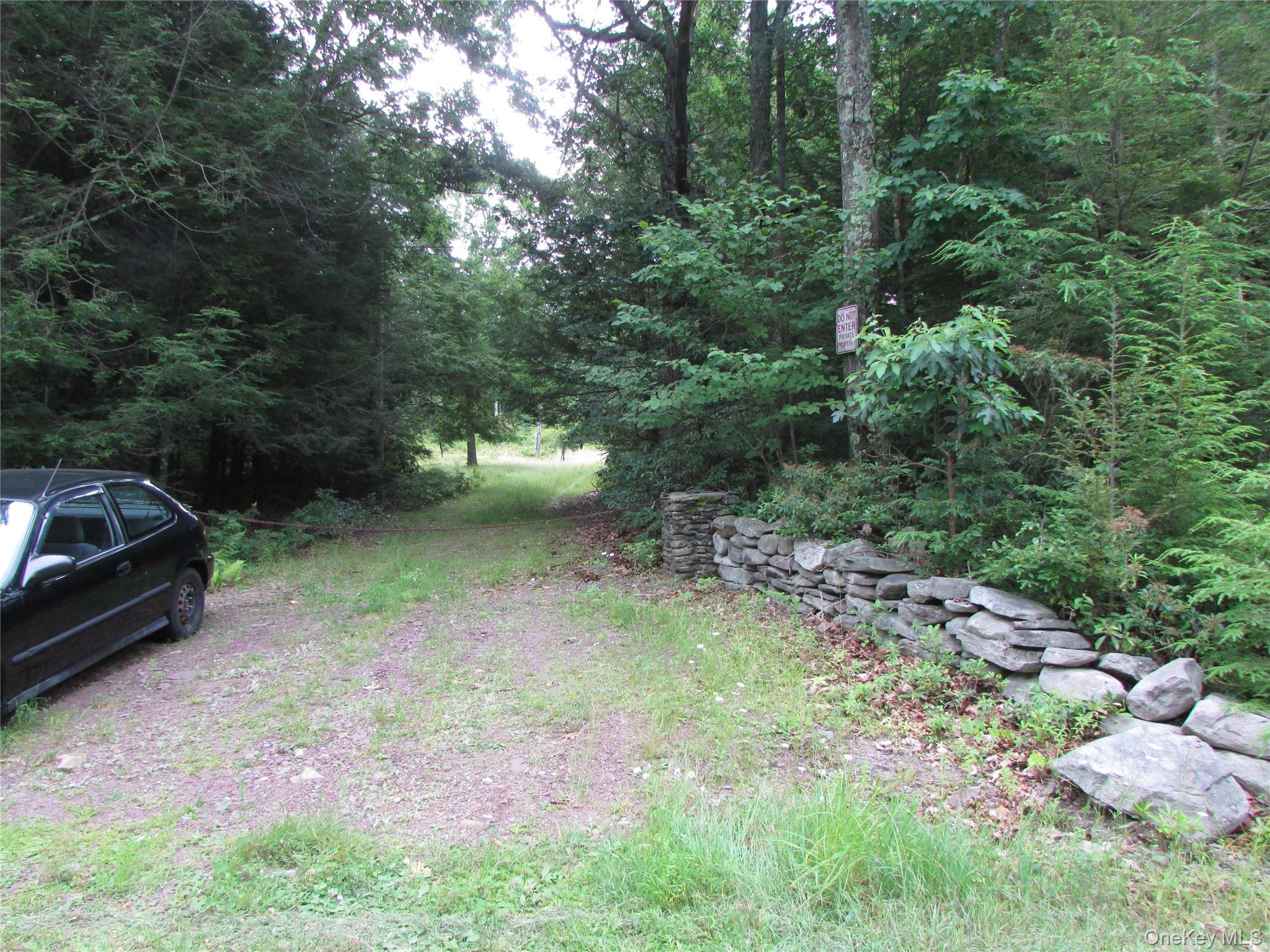 Homes for sale in Fallsburg, NY | Fox Hill Road Tr 55, Fallsburg, NY 12733 | MLS# 1025073