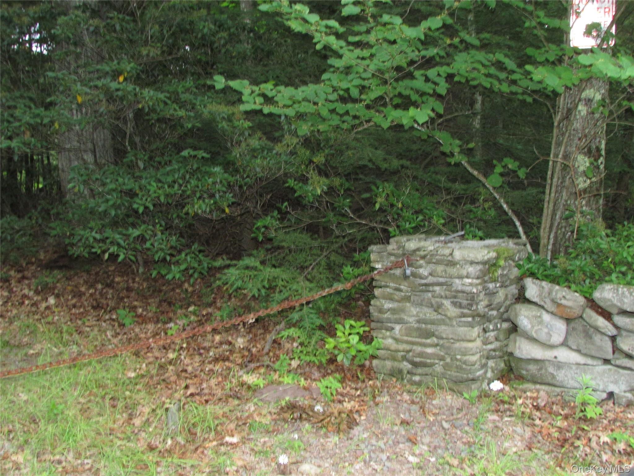Homes for sale in Fallsburg, NY | Fox Hill Road Tr 55, Fallsburg, NY 12733 | MLS# 1025073