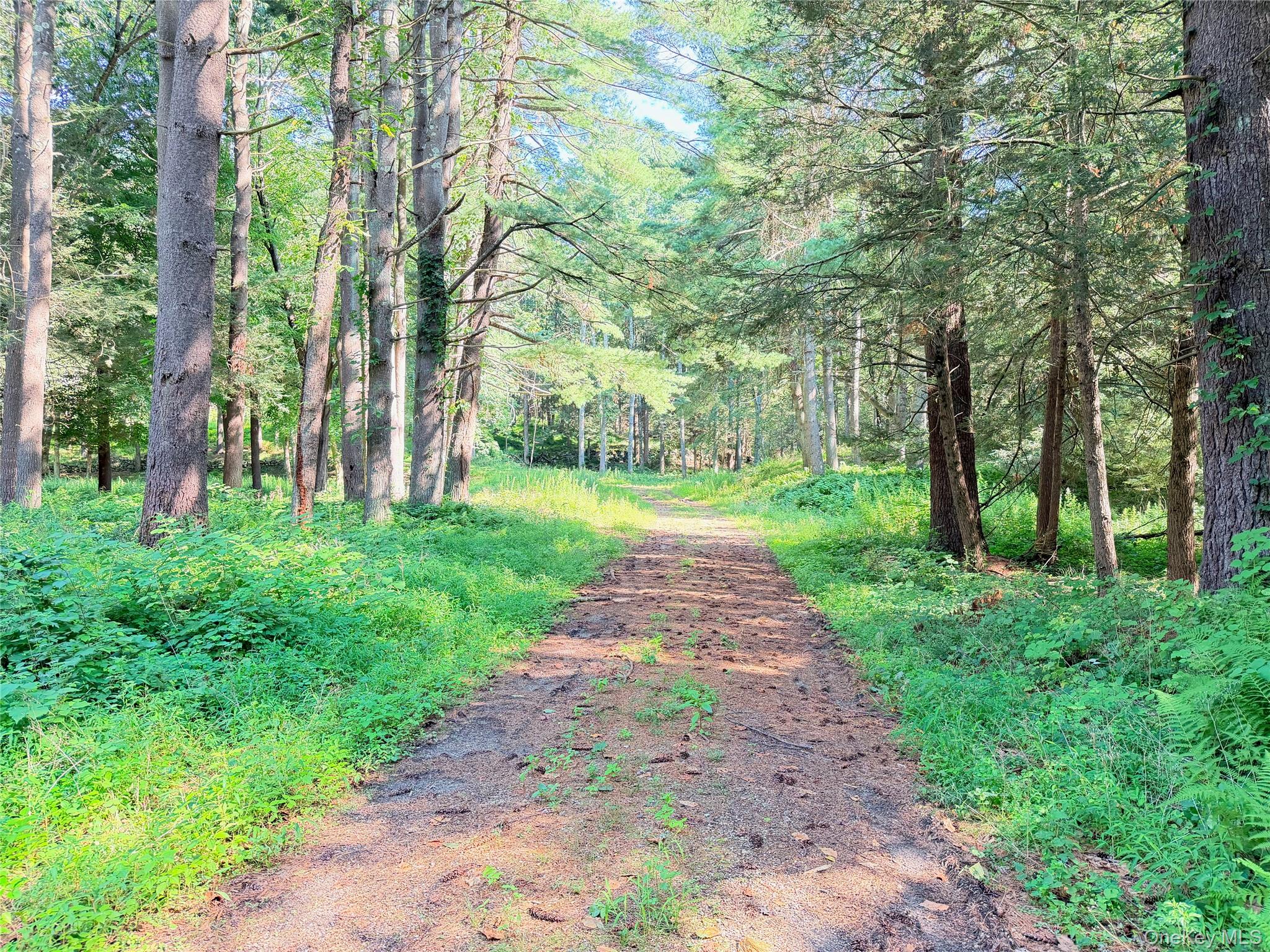 2nd image of 340 Haines Rd, Bedford, NY 10507 | MLS# 1025747