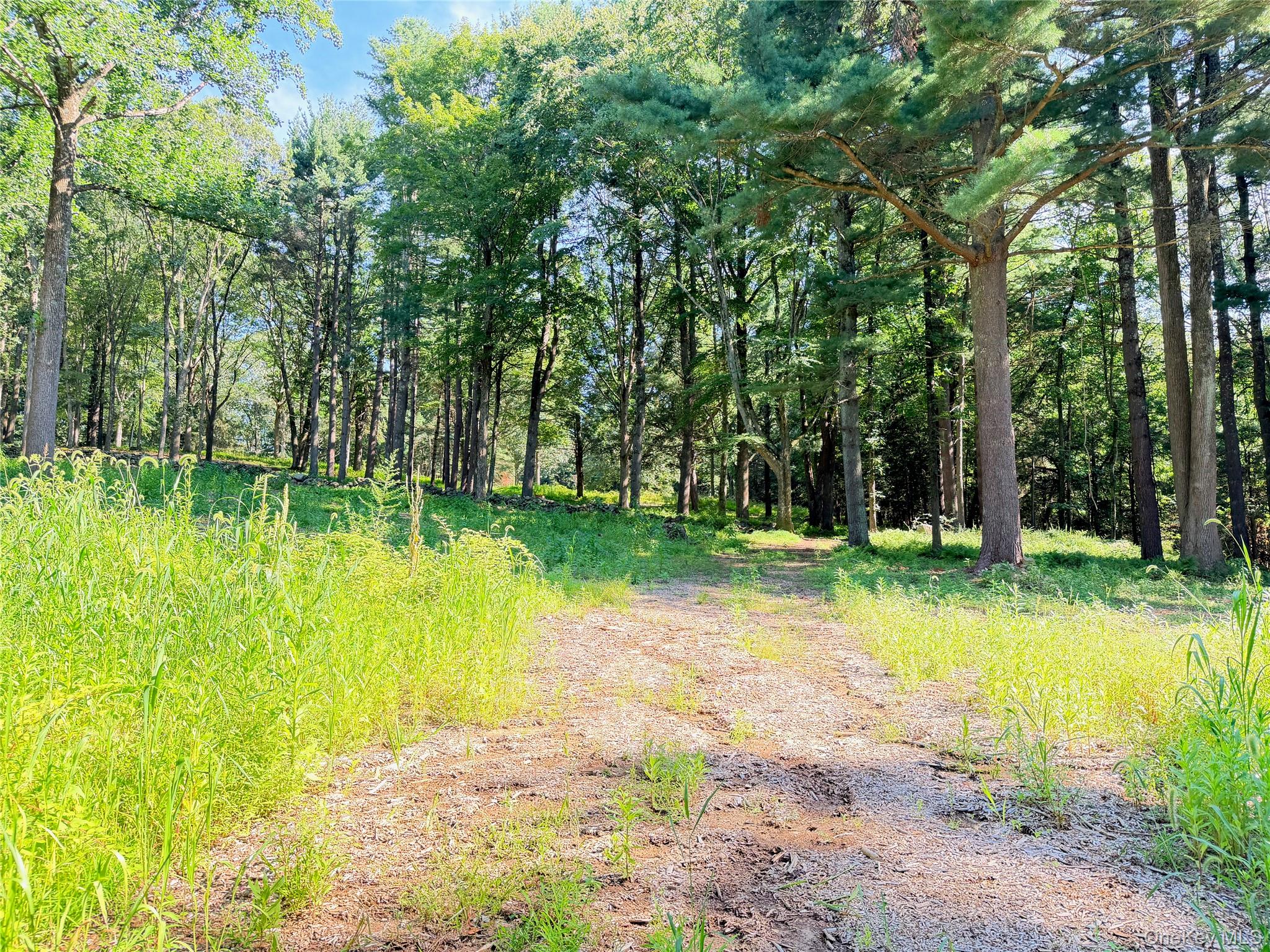 5th image of 340 Haines Rd, Bedford, NY 10507 | MLS# 1025747