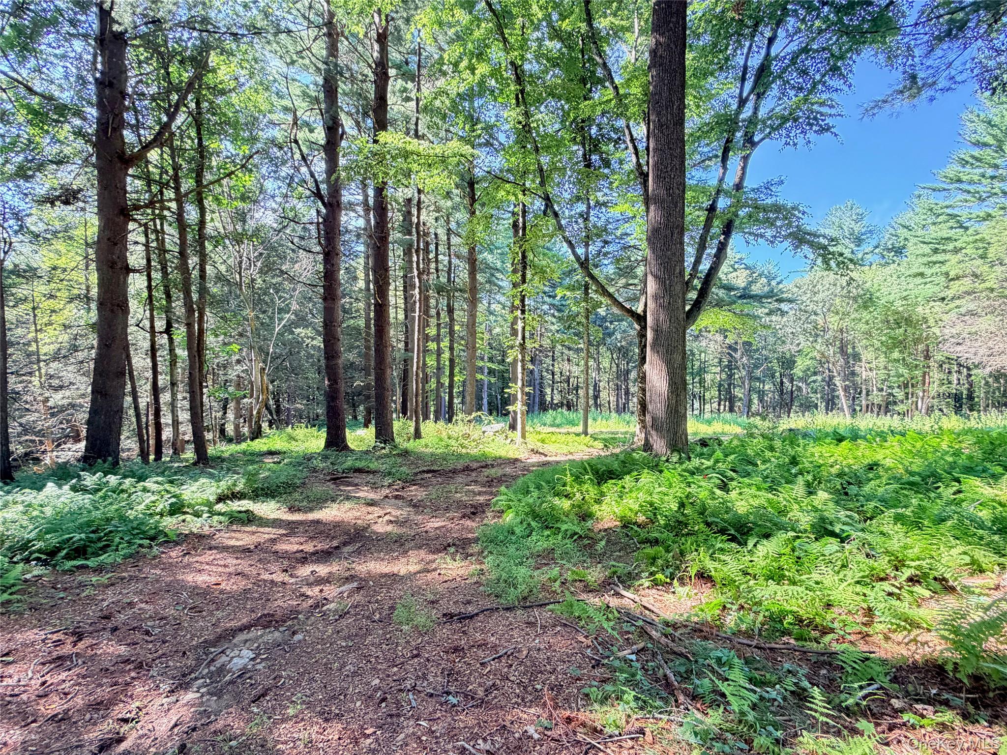 3rd image of 340 Haines Rd, Bedford, NY 10507 | MLS# 1025747