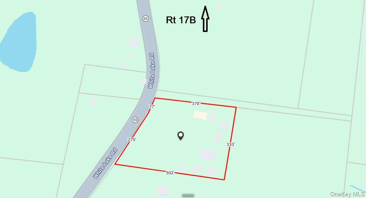 2nd image of 3174 State Rte 55, White Lake, NY 12786