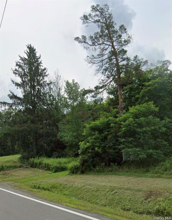 Homes for sale in Prattsville, NY | 14951 State Route 23, Prattsville, NY 12468 | MLS# 1026405