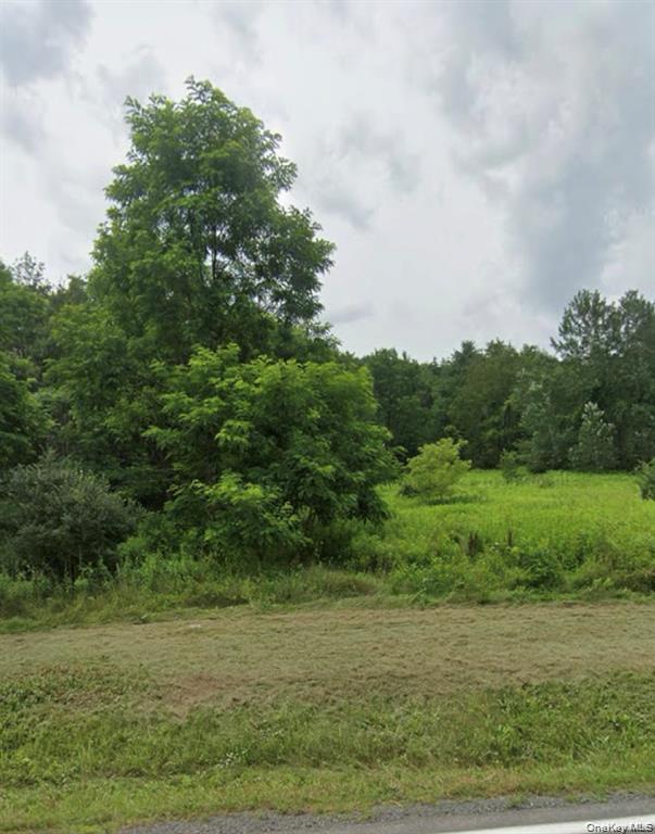 Homes for sale in Prattsville, NY | 14951 State Route 23, Prattsville, NY 12468 | MLS# 1026405