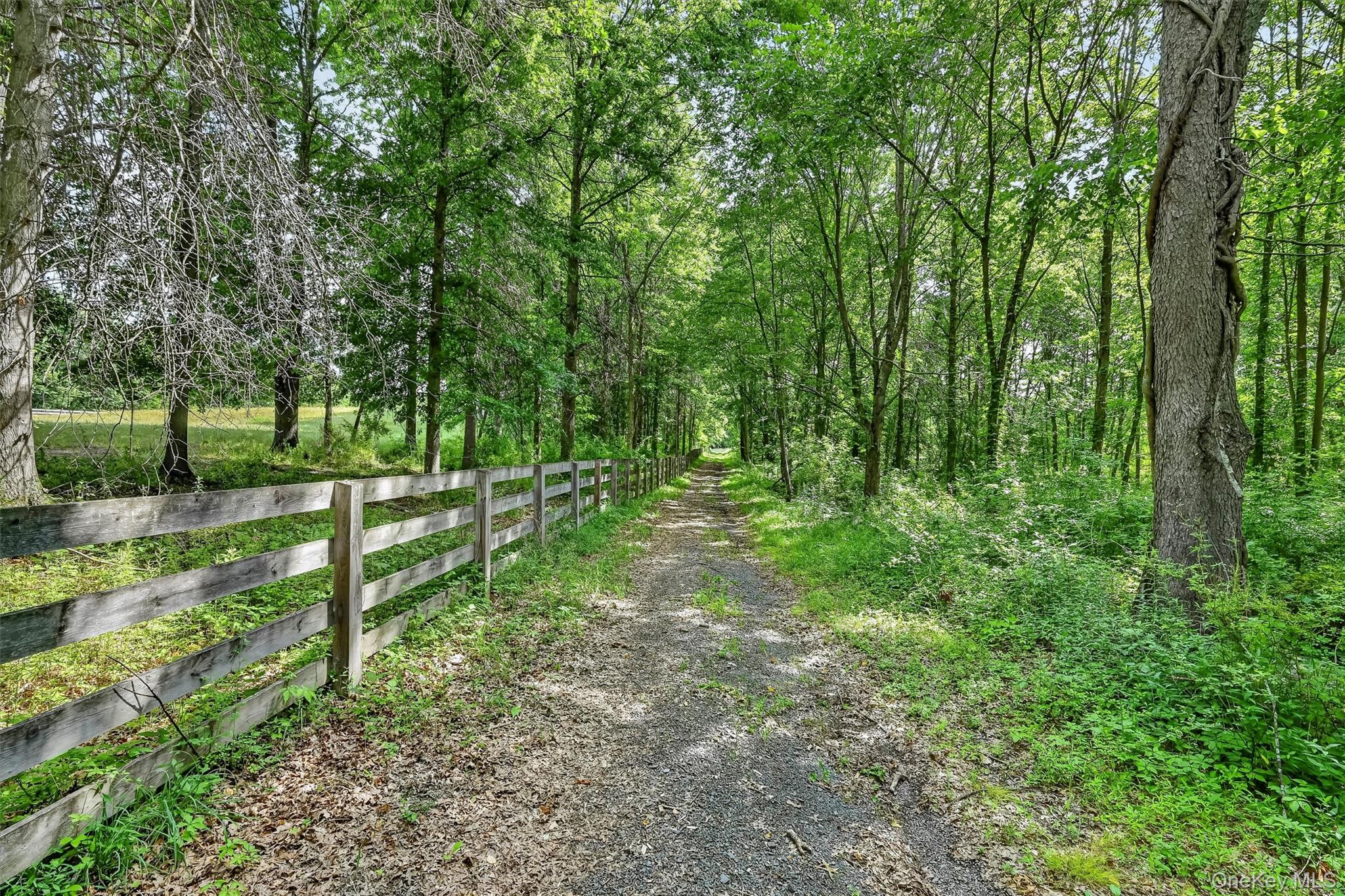 50th image of 123 Collabar Rd, Montgomery, NY 12549 | MLS# 1026440