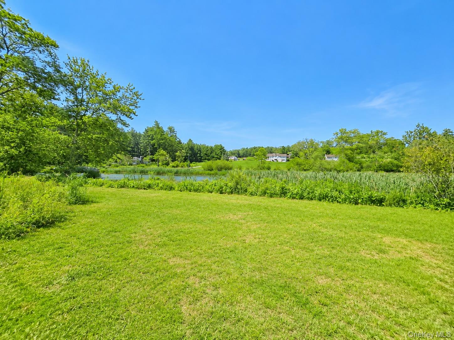 Homes for sale in Bethel, NY | 601 Briscoe Rd, Bethel, NY 12783 | MLS# 1026756