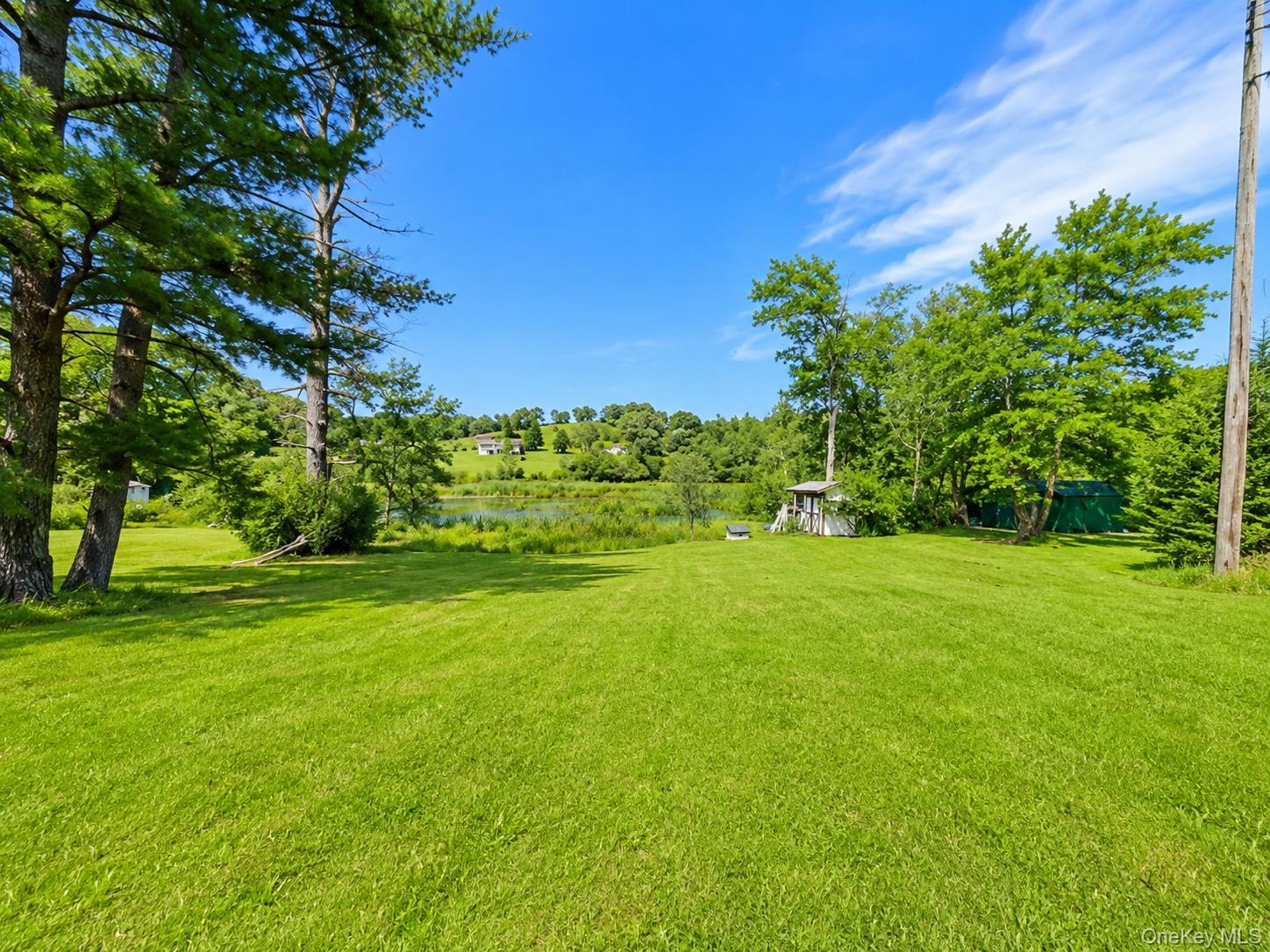 Homes for sale in Bethel, NY | 601 Briscoe Rd, Bethel, NY 12783 | MLS# 1026756