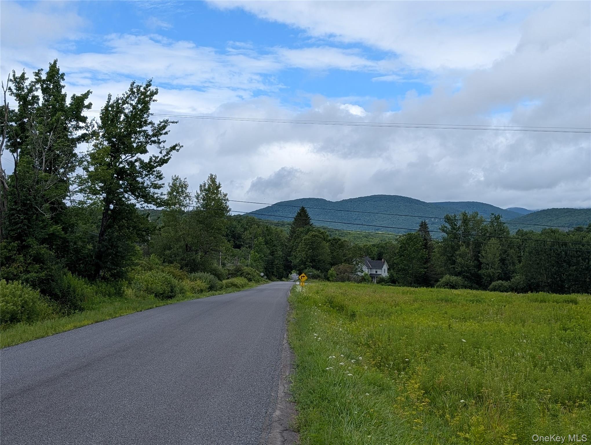 1st image of Hubbell Hill Rd, Middletown, NY 12455 | MLS# 1027019